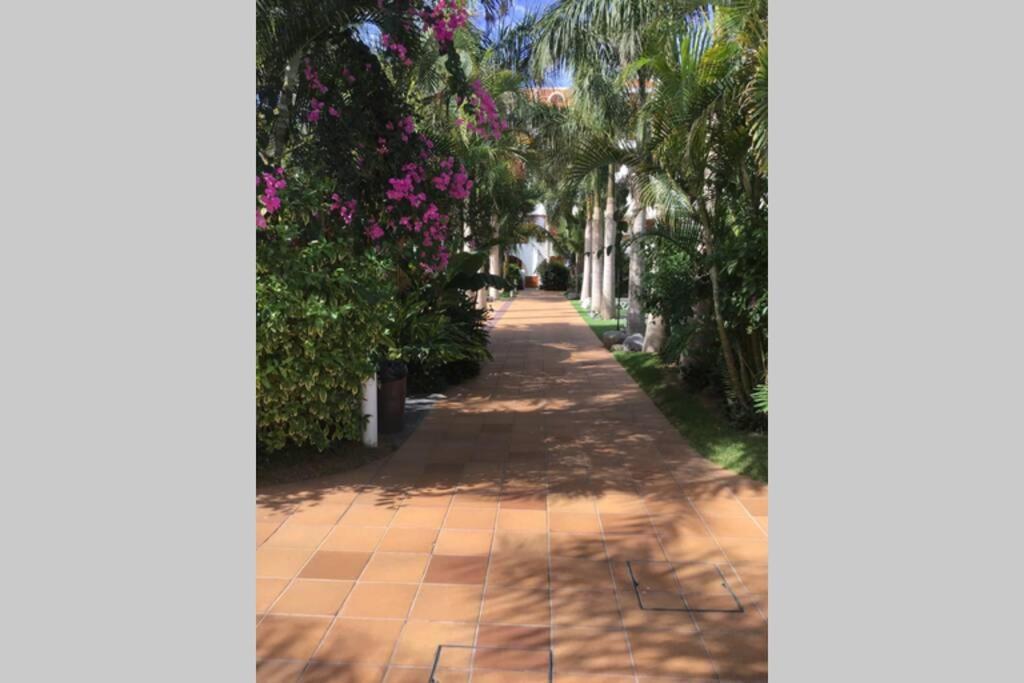 Apartamento Frente Al Mar! Apartment Playa de las Americas  Exterior photo